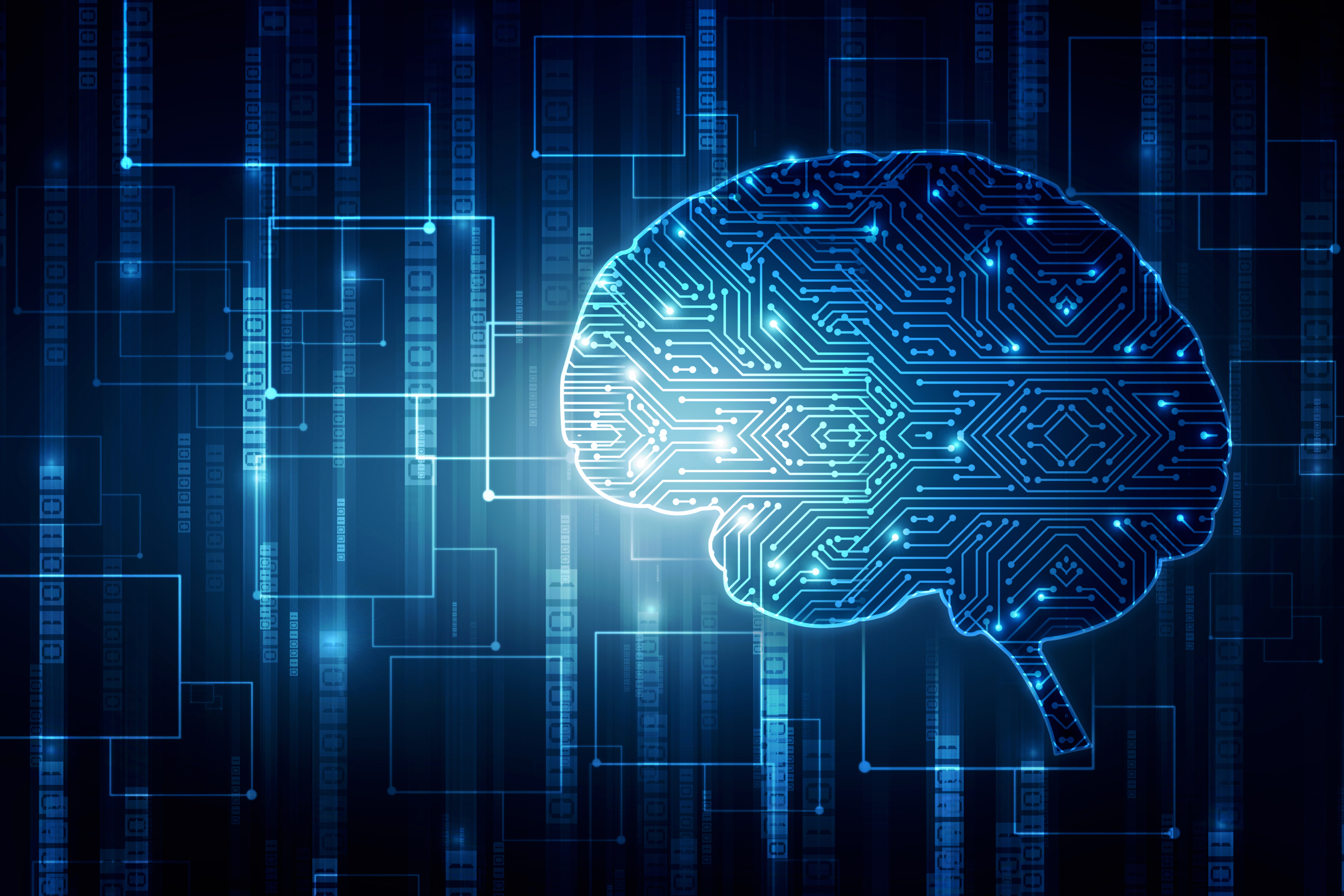 Bringing Machine Learning and Neuroscience Together