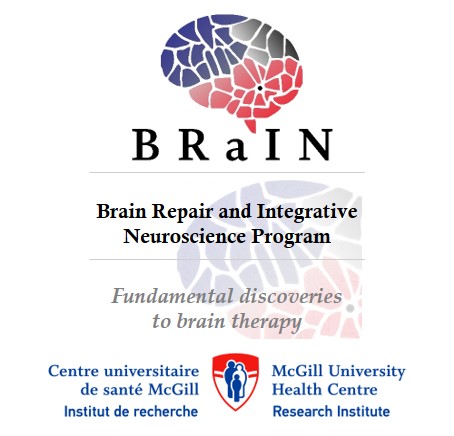 BRaIN Program at the Research Institute of the McGill University Health Centre