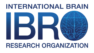 IBRO logo