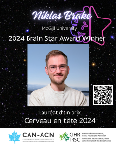 Niklas Brake