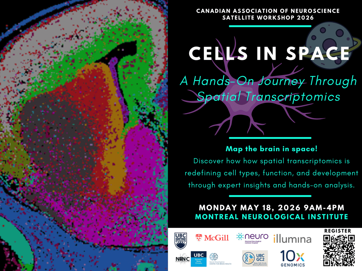 Satellite 5: Cells in Space: A Hands-On Journey Through Spatial ...